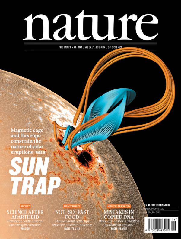 Nature cover featuring solar magnetic structures